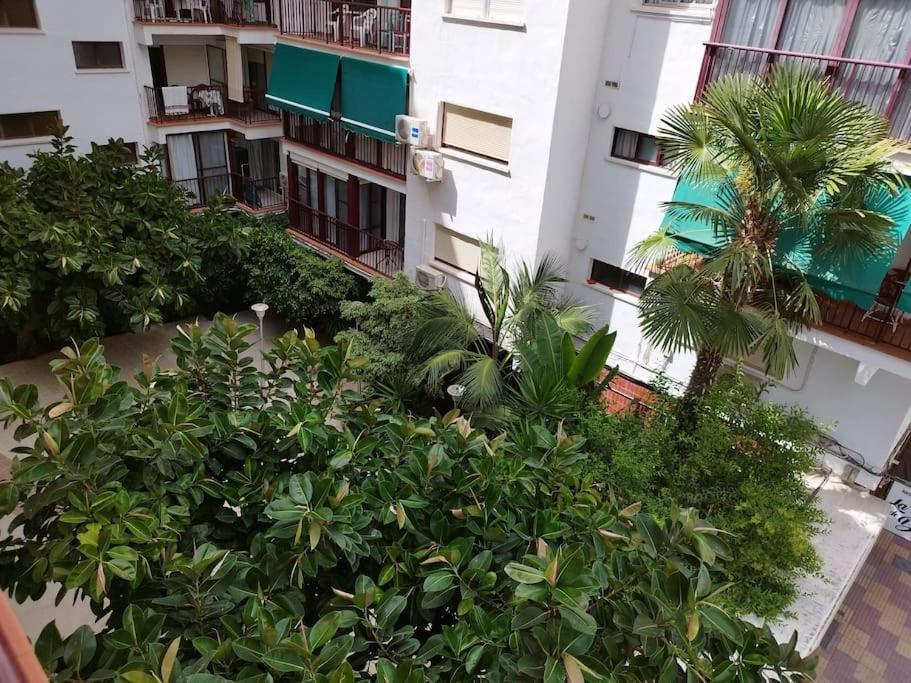 شقة Cullera Mar المظهر الخارجي الصورة